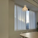 고흥읍 학교길 | 고흥 애견동반 카페 추천 픽키 내돈내산 후기