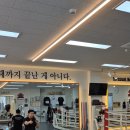 파파복스 복싱클럽 이미지