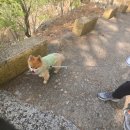 동곡식자재마트