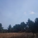 색달동-2 이미지