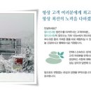 할티선녀탕 티스토리