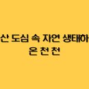 연제구-009 티스토리