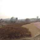 조마루감자탕 판교점