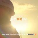 태양광고 네이버블로그