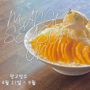셀레브르 이미지