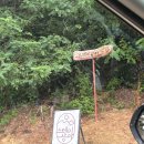 스테이상아 이미지