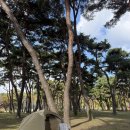 양산면사무소 | 캠핑놀이, 송호리 캠핑장 솔캠 | 헬리녹스 코트텐트, 스노우피크 IGT