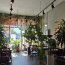 서양로1L | 화순 카페 그레이스 | 에베네도 옆 음료 맛집 추천