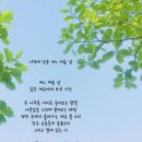 아낙네님 방긋~~^^ 이미지