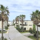 달콩 제주 이미지