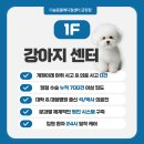 다솜동물메디컬센터 금정점 | 24시 금정다솜동물메디컬센터, 금정다솜, 대형견 스케일링의 중요성… 놓치기 쉬운 치주 질환 집중 관리...