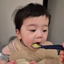 더 오물오물 | 로하스밀 중기 후기이유식 비교 입자감 단계 올라가는 시기