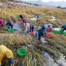 하고여자경로당 이미지