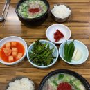 주정차단속-064 이미지