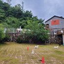 맘앤독스 이미지