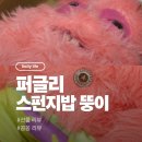 뚱이 | 스펀지밥 덕후의 심장을 저격한 <퍼글리 뚱이 플러시> 솔직 후기