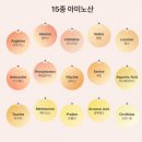 뷰티바이초이스 | [기초화장품품]승무원화장품 1위, 유어초이스바이씨랩 보습탄력크림 솔직 후기