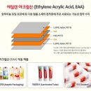 신선화학