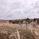 신천리슈퍼 네이버블로그