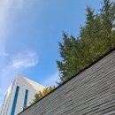 상계예술마당 이미지