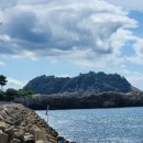 뿔들의 섬 이미지