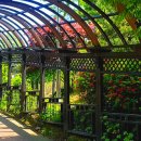 우리꽃식물원 이미지