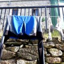 부엔까미노 이미지