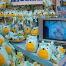 부엉이랜드 이미지