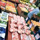 성민청과 이미지