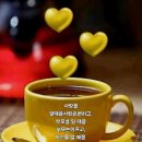 굿모닝 Daum카페