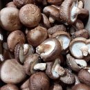 (유)장흥환경산업 | 🍄 국내 표고버섯 1번지, 장흥 표고버섯을 지금 만나보세요