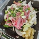 기장꼼장어 이미지