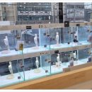 정직한동물의료센터 이미지