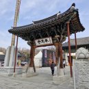 청계산입구역 1번출구 좌측 | 2026 봉은사 홍매화 &amp; 명인대동양평해장국 삼성점