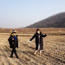 방울네 이미지