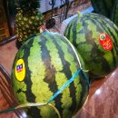 한라청과 이미지