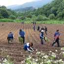 공동농장 이미지