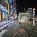 인천검단사거리 직영점 프랭크버거 신제품 추천 청양마요쉬림프버거 세트