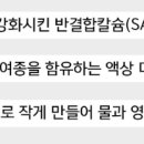셀메드오늘약국