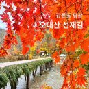 행복양말 이미지