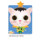캔디캣 이미지
