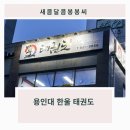 용인대한울태권도 이미지