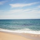 스테이 낙낙 이미지