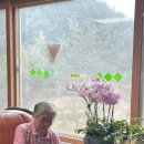 용인 샤인빌 시니어스 너싱홈 이미지