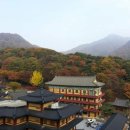 천마산로65 네이버블로그