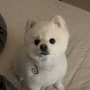 유폴 평택지제역점 네이버블로그