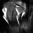 당신은 혼자가 아니 이미지