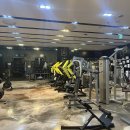 팀바디매스 이미지