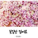 파라곤클리닝 이미지