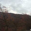 참샘목장 이미지